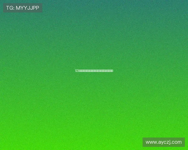 S3动画：不止是回忆，更是时代的烙印与未来的启迪