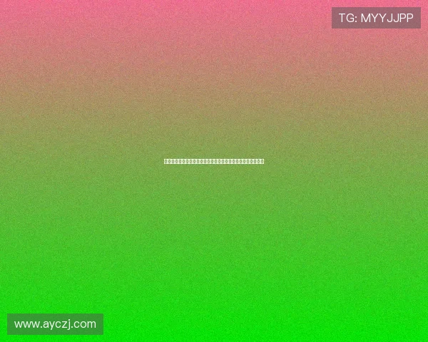 《极速前进第七季》：一场刷新认知、点燃激情的环球冒险之旅