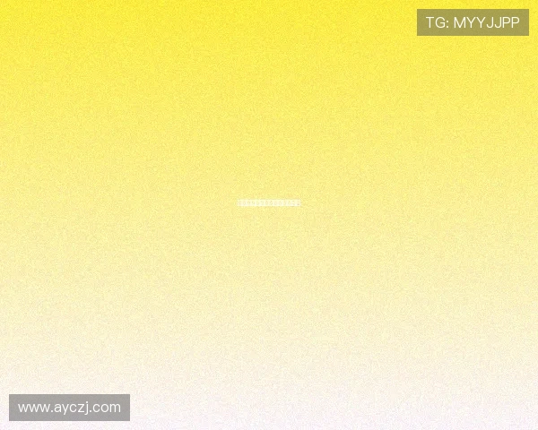 一路追击：追逐梦想，无畏前行