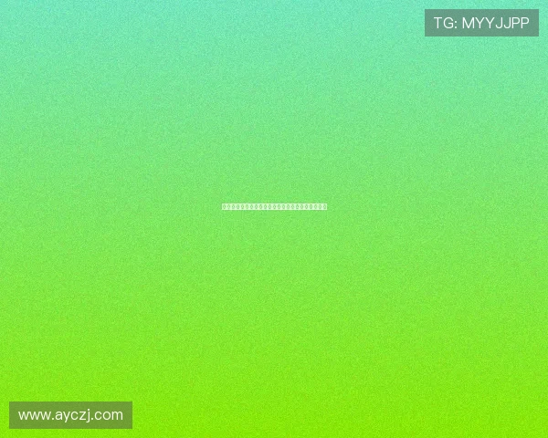 破茧成蝶，重塑新生：魔茧科技，点亮未来无限可能